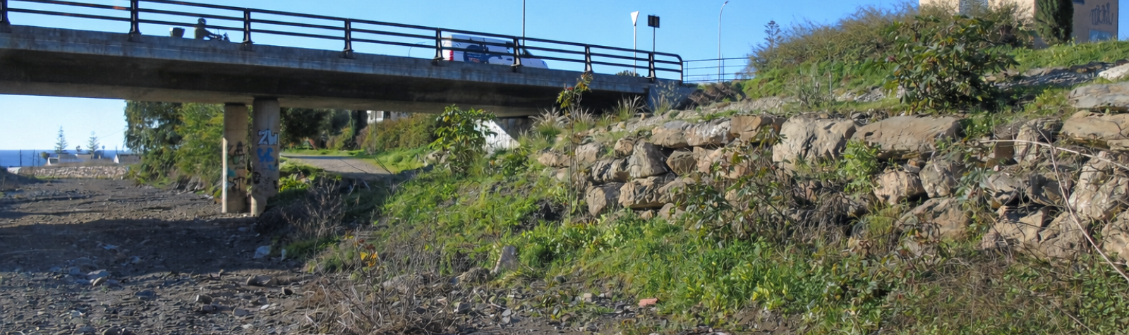 Restauramos un tramo del río Benagalbón con alumnado del Colegio La Marina